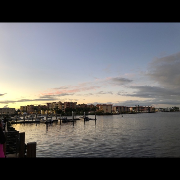 Meet your Posher, Regan - Picture 1 of 1